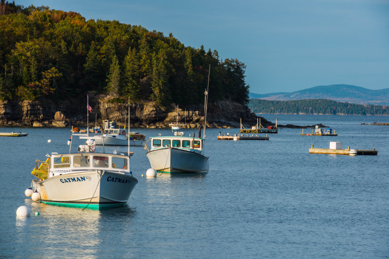 Lobster boats