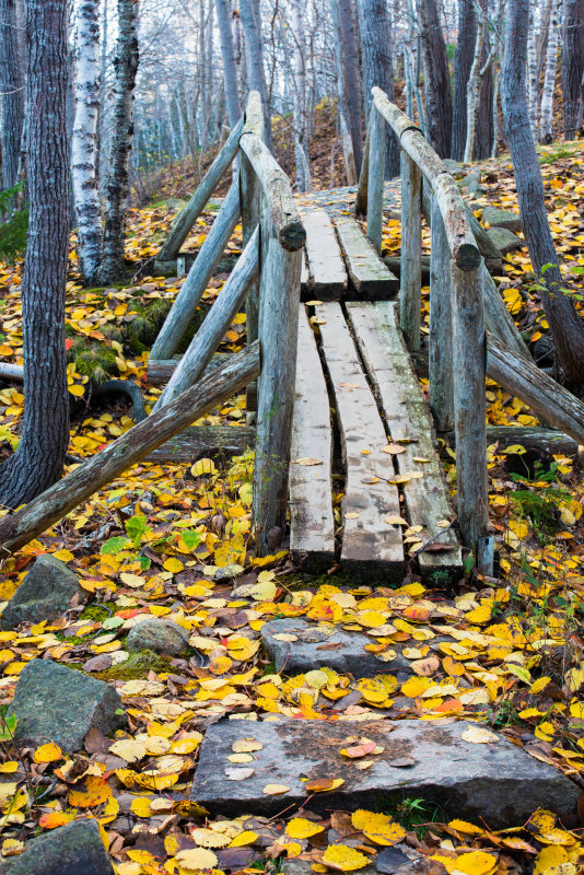 Acadia foot bridge