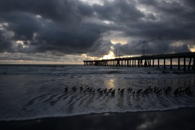 Venice Pier