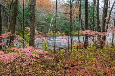 Housatonic River