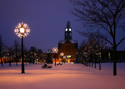 City Park Snowfall