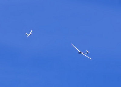 Gliders Over the Danube