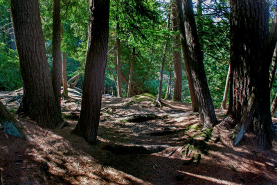 Along the Footpath