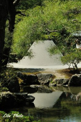 DSC_8135.jpg
