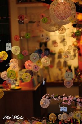 DSC_8162.jpg