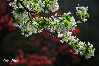 DSC_8163.jpg