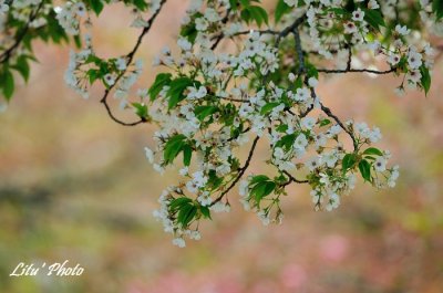 DSC_8165.jpg