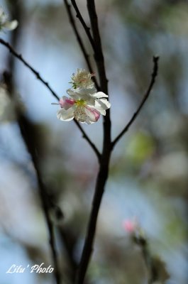 DSC_8177.jpg