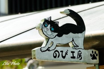 DSC_8185.jpg