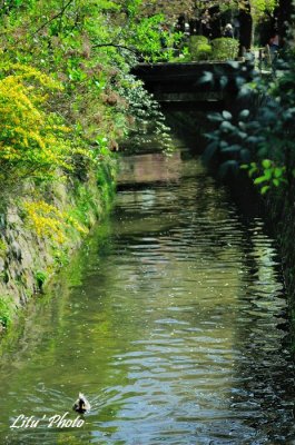DSC_8206.jpg