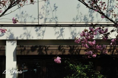DSC_8245.jpg
