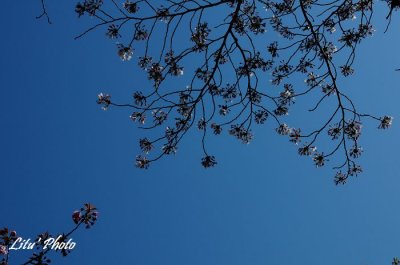 DSC_8264.jpg