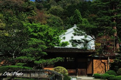 DSC_8268.jpg