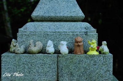 DSC_8273.jpg