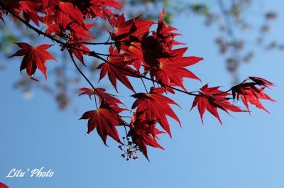DSC_8279.jpg