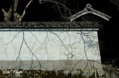 DSC_8283.jpg