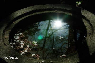 DSC_8285.jpg