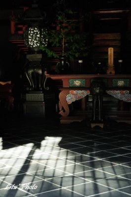 DSC_8341.jpg