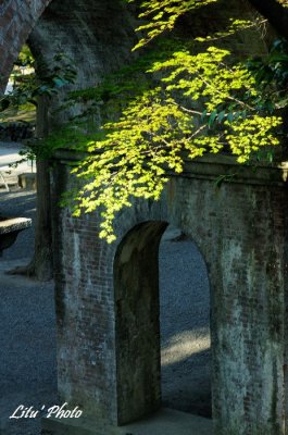 DSC_8355.jpg