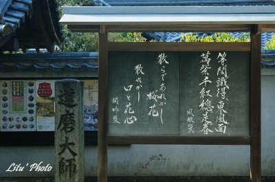 DSC_8377.jpg