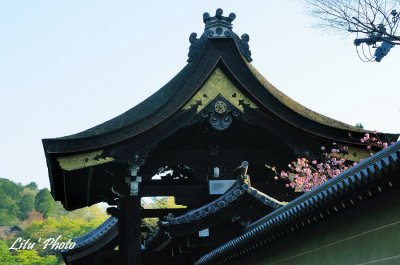 DSC_8380.jpg