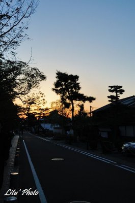 DSC_8416.jpg
