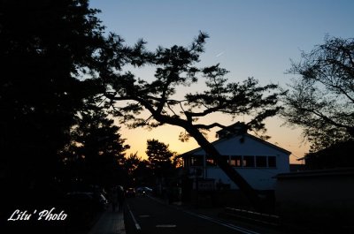 DSC_8417.jpg
