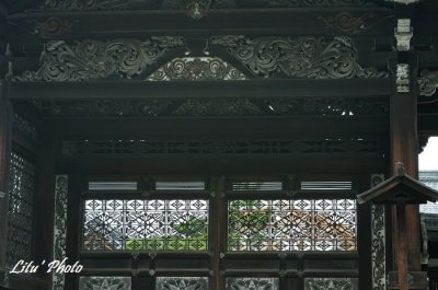 DSC_8585.jpg