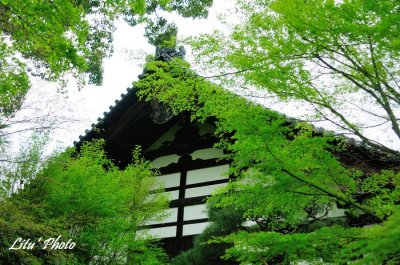 DSC_8619.jpg