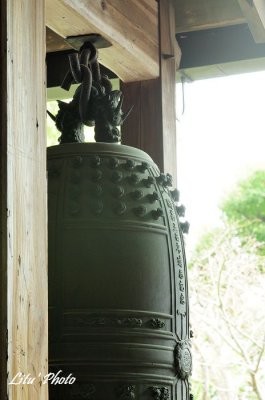 DSC_8656.jpg