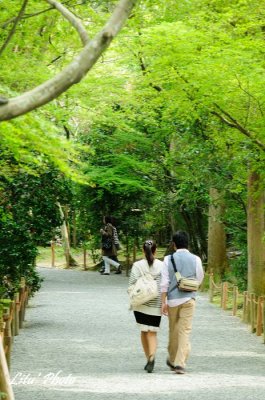 DSC_8661.jpg