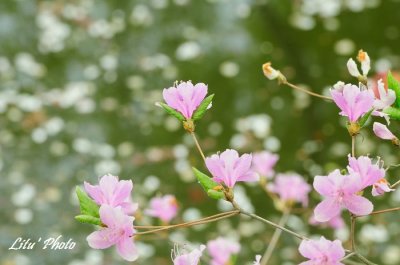 DSC_8674.jpg