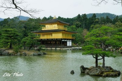 DSC_8678.jpg