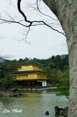 DSC_8679.jpg