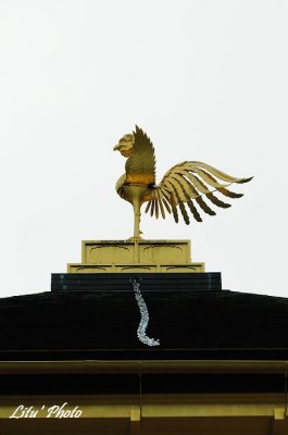 DSC_8728.jpg