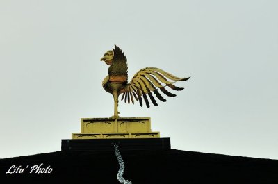 DSC_8729.jpg
