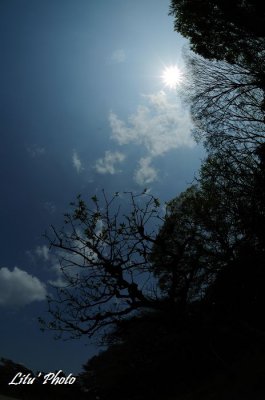 DSC_8886.jpg