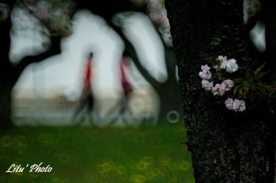 DSC_8961.jpg