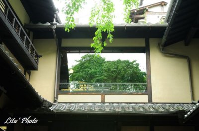 DSC_9549.jpg