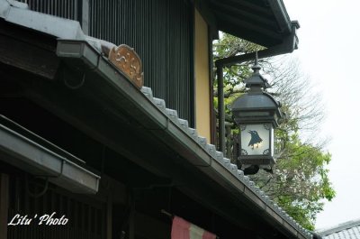 DSC_9554.jpg