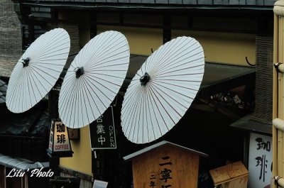 DSC_9560.jpg