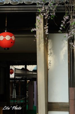 DSC_9743.jpg