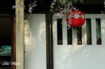 DSC_9747.jpg