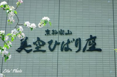 DSC_0083.jpg