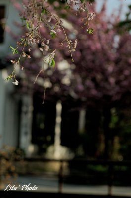 DSC_0238.jpg