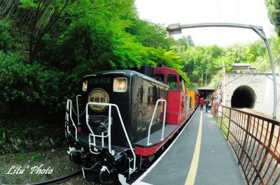 DSC_9913.jpg