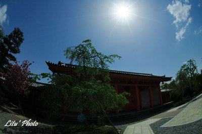 DSC_0284.jpg