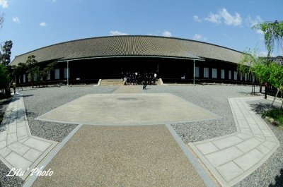 DSC_0288.jpg