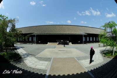 DSC_0290.jpg
