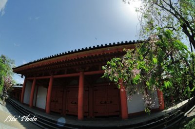 DSC_0294.jpg